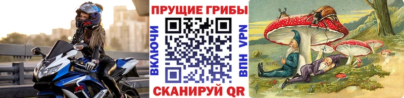 Псилоцибиновые грибы ЛСД Верхний Тагил